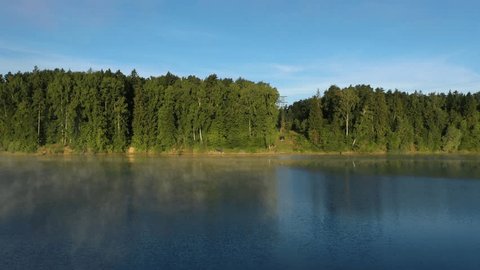 Drone Flying above River along Forest Shore