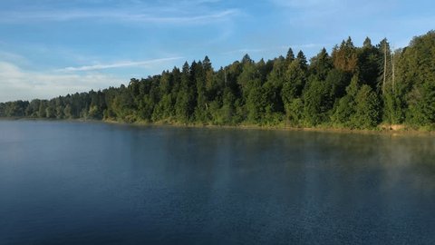 Drone Flying toward Forest Shore over Calm