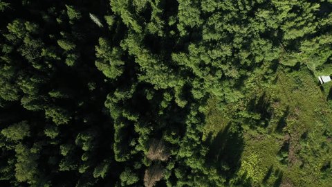 Aerial Top View Forest Small Houses