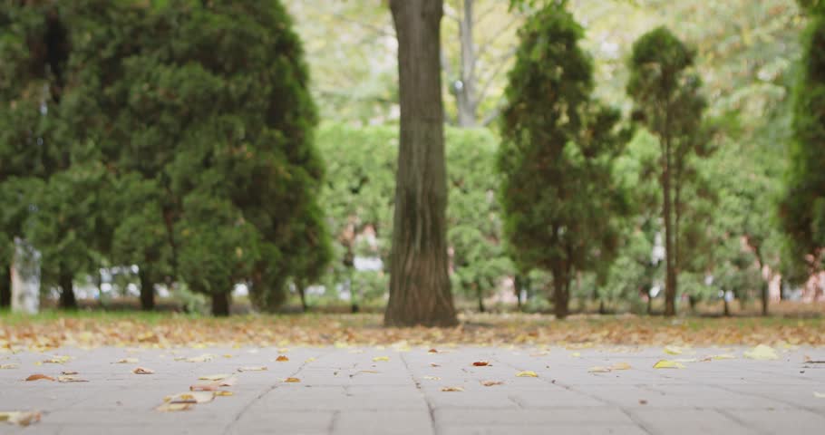 Close up of a person walking in a park with black boots, beige coat, and fallen leaves on the ground. Slow motion.