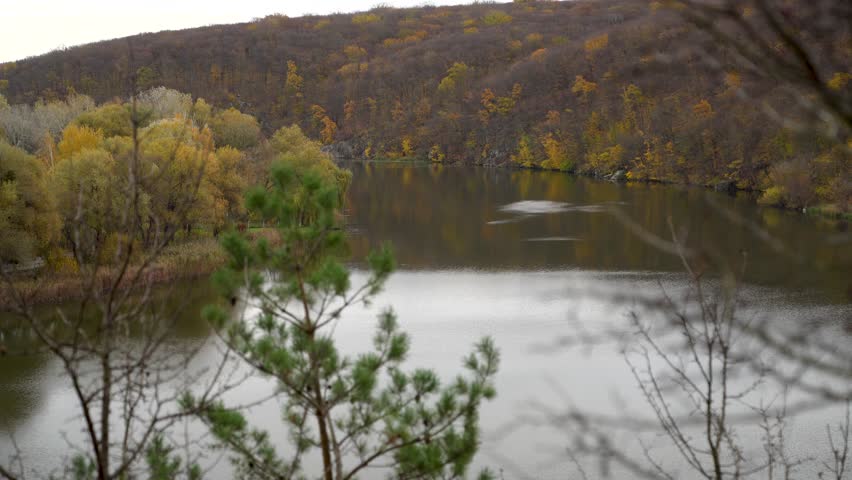Autumn trees with dry and yellow leaves near calm river surface reflecting forested hills. Natural landscape photography. Autumn season and nature concept.