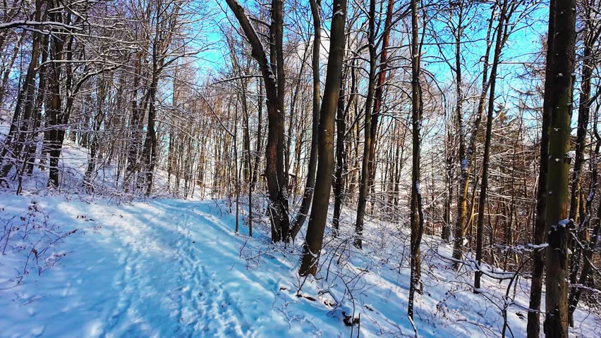 Snowcovered trail under clear sky, serene snowy woodland path with sunlight and footprints