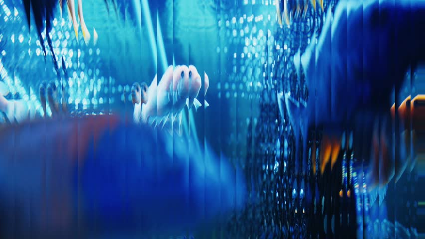 Abstract underwater fish swimming in distorted blue water