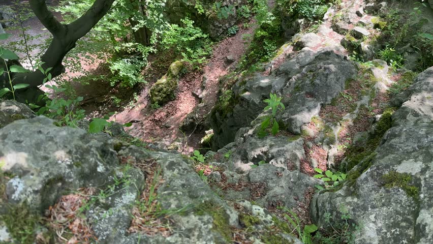 View looking down into a deep, rocky crevice in a forest floor, surrounded by moss-covered boulders, green foliage, and sun-dappled dirt path below