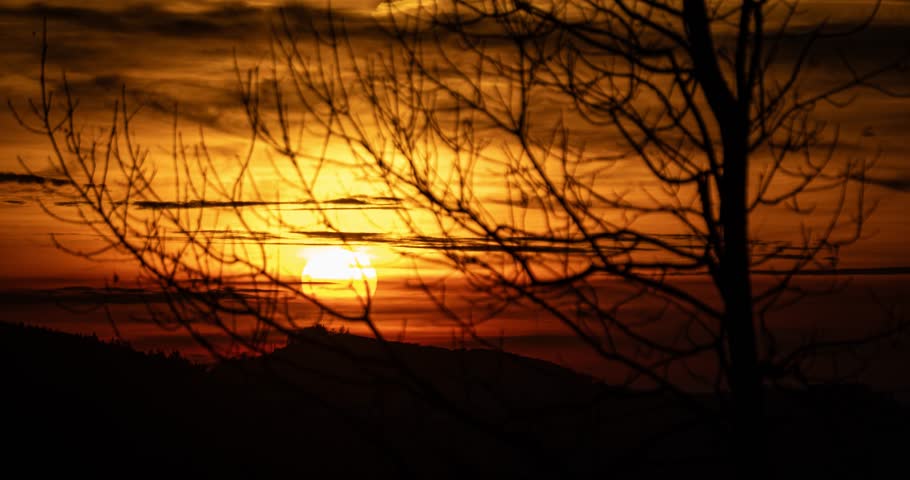 Dramatic Golden Sky at Sunset Behind Tree Silhouette Time-Lapse