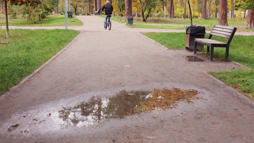 A serene autumn park scene featuring empty benches and puddles on the pathways. The fallen leaves in warm autumn colors cover the ground, creating a peaceful and reflective atmosphere