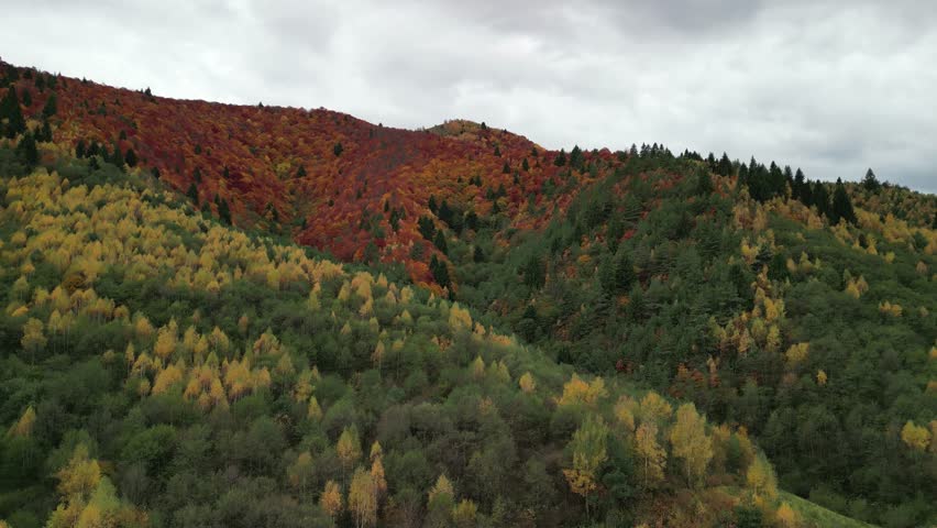 Breathtaking autumn foliage paints a mountainside in vibrant hues of red, orange, and yellow against a backdrop of evergreen trees and a cloudy sky. Ideal for nature lovers and scenic visuals.
