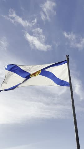 Close-up video of a Nova Scotia flag waving on a flagpole. The sky is blue with a few clouds in the background and the light is warm. The scene is viewed from below.