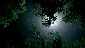 A quiet rainy night scene with a streetlamp beside a tree - Powered by Shutterstock - Get 15% off with code: PIKWIZARD15