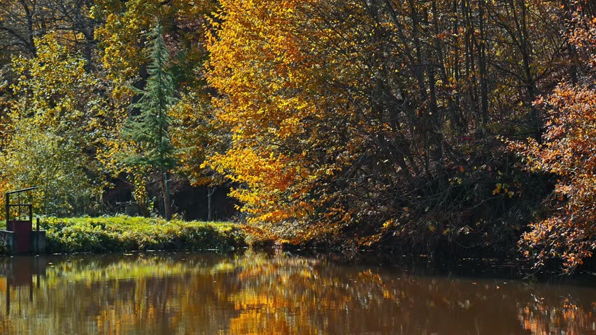 A beautiful autumn day with a lake in the background. The trees are full of leaves and the water is calm
