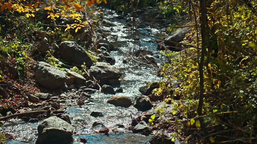 A stream of water flows through a rocky area. The water is clear and the rocks are large. The scene is peaceful and serene
