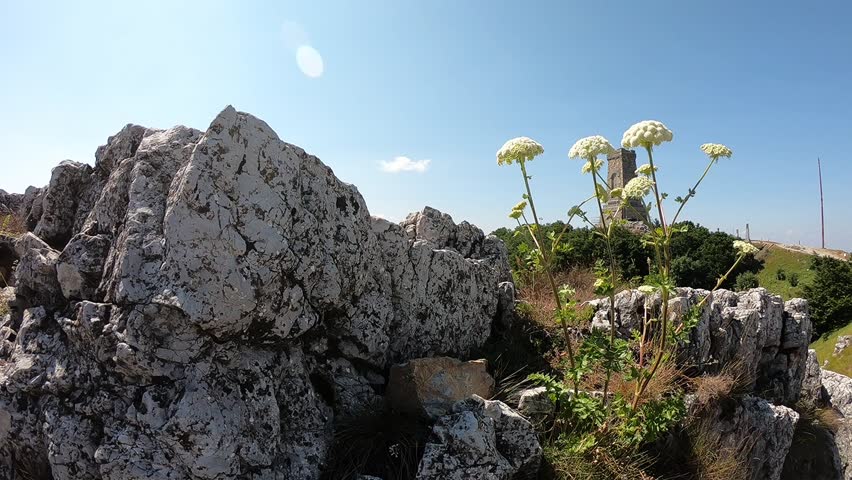Handheld low-angle cinematic panorama of the Shipka Monument with rocky foreground and white flowers, distant view of the monument against the mountain and sky, Bulgaria, 20 May 2021