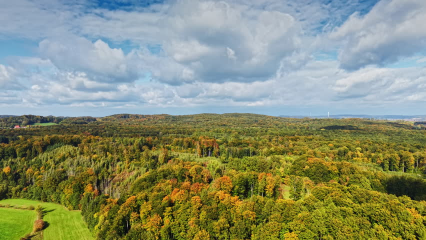Bright autumn in the forest, top view. Mixed forest, green coniferous trees, deciduous trees with yellow leaves. Autumn colors of the rural forest. Drone rotates over colorful texture in nature.