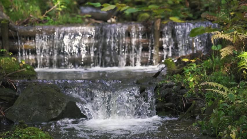 Small Forest Waterfall with Crystal Clear Stream Flow, Slow Motion Nature
