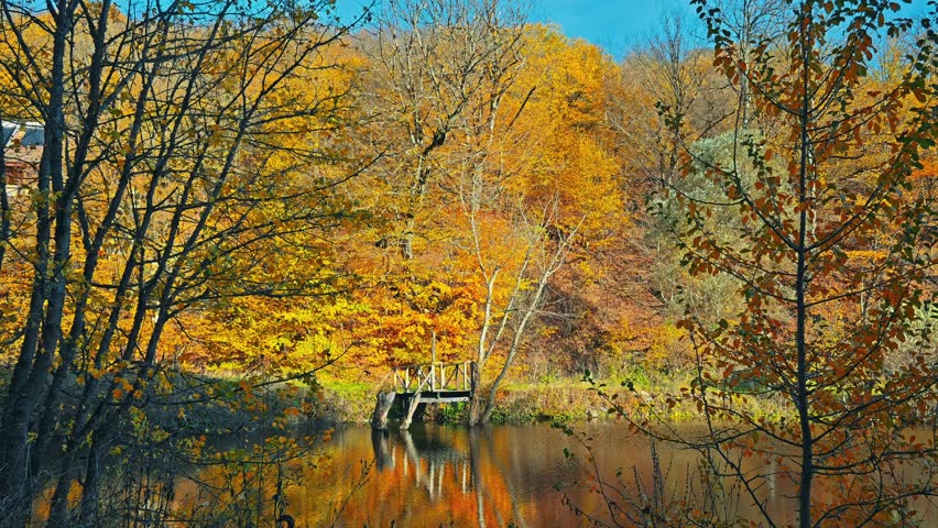 A beautiful autumn day with a lake in the background. The trees are full of leaves and the water is calm