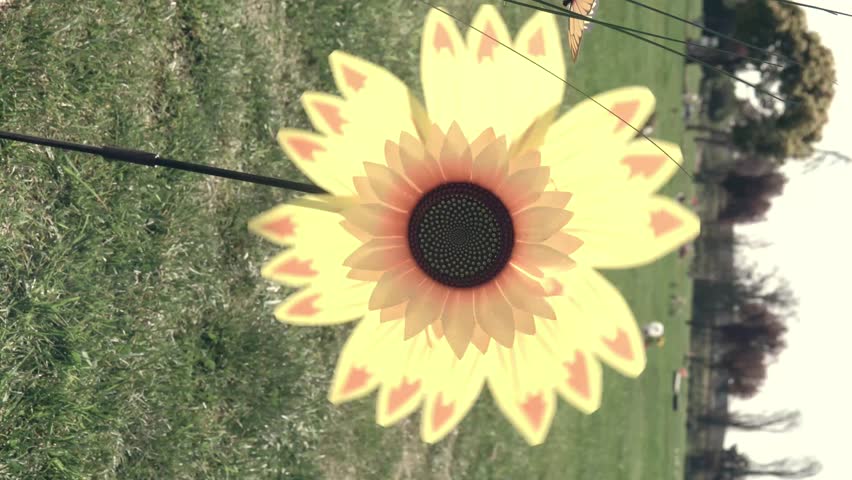 A colorful, handmade flower swirling and moving in the wind, alongside flowers in a green field. A tribute to respect and affection. Outdoors, with plenty of natural light.