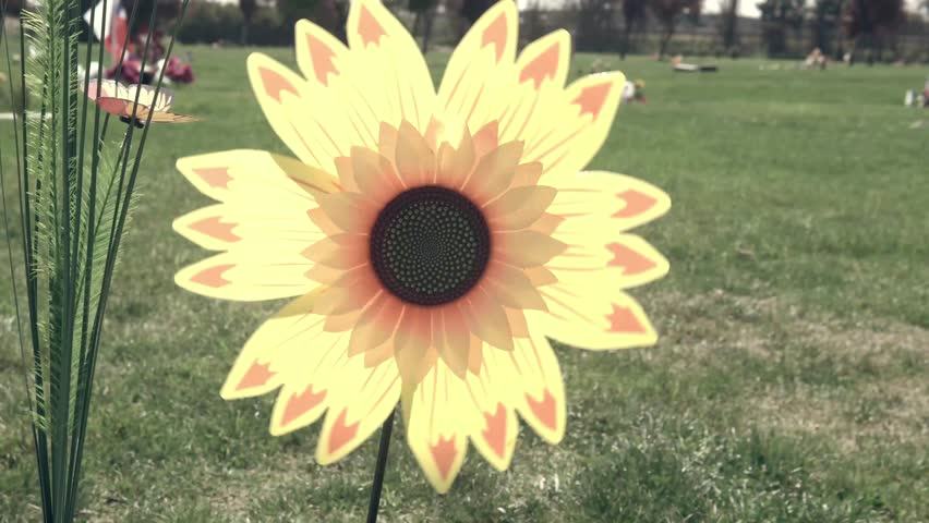 A colorful, handmade flower swirling and moving in the wind, alongside flowers in a green field. A tribute to respect and affection. Outdoors, with plenty of natural light.