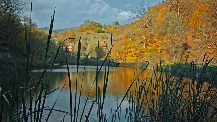 A lake with tall grass and trees in the background. The water is calm and the sun is shining through the trees