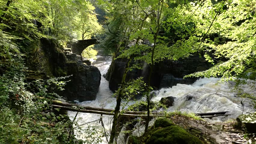 A nature video featuring the Black Linn falls of the river Braan flowing through the lush forest of the Hermitage near Dunkeld, Scotland.