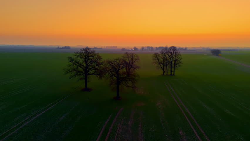 Aerial parallax shot orbits silhouetted trees in green rural field in Latvia as golden sun sets on horizon with mist