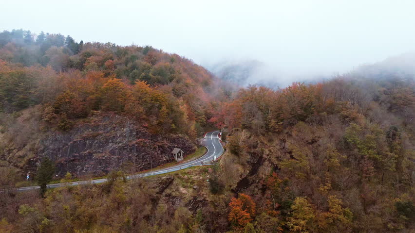 Curvy road through lush autumn forest under cloudy sky, tranquil scene