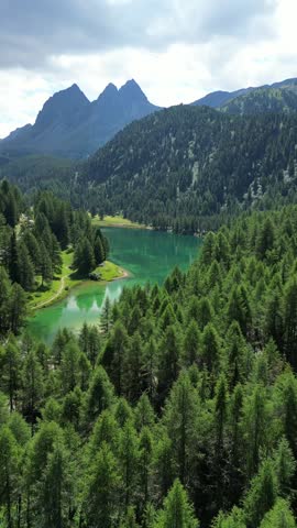 Lai da Palpuogna mountain lake in the Swiss Alps, aerial drone nature pine forest