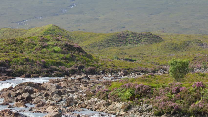 Wide shot of river rapids, purple heather, rocky terrain, and green hills under daylight