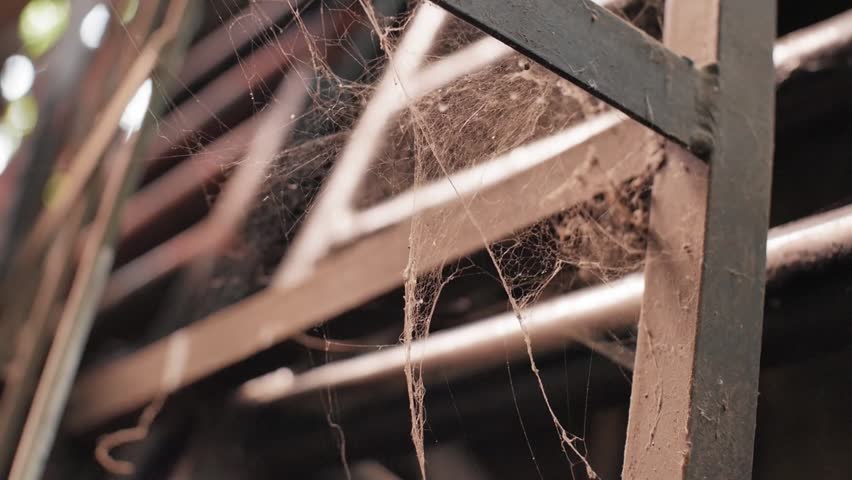 a close-up of spiderwebs covering a metal structure. The webs are dusty and intricate