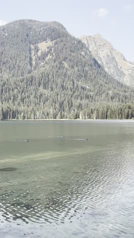Grand Teton National park view