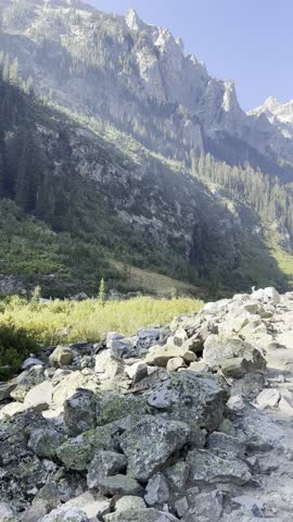 Grand Teton National park view