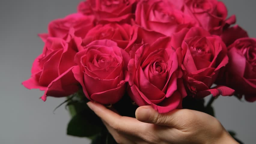 Bouquet of bright pink roses, flowers on a neutral background