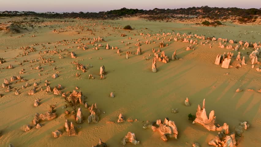 Aerial view of the Pinnacles Desert shows a captivating landscape, with towering limestone formations casting long shadows across the sandy terrain, Nambung, Western Australia, Australia.
