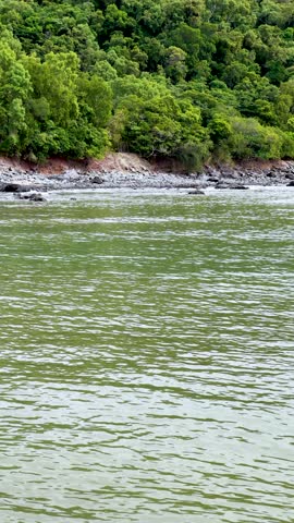 Smooth daytime pan reveals lush mangrove forest, rocky shoreline, and calm ocean waters in Queensland