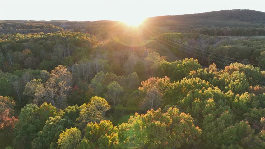 Aerial flyover multicolored trees and forest at golden sunset in autumn season. Power pole supply electricity in suburb neighborhood of USA. Wide shot.