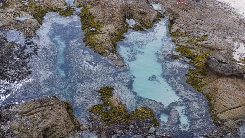 Aerial view of tide pools and rocky shoreline at low tide along the California coast, revealing marine algae and clear water channels between the stones