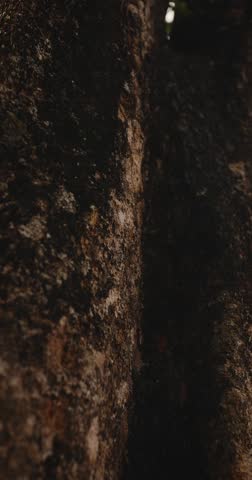 Cinematic reveal of Victory Gate at Bayon Temple, Angkor Thom, Cambodia framed by massive jungle tree roots. High quality slow motion vertical stock video ideal for tourism, culture and history promos