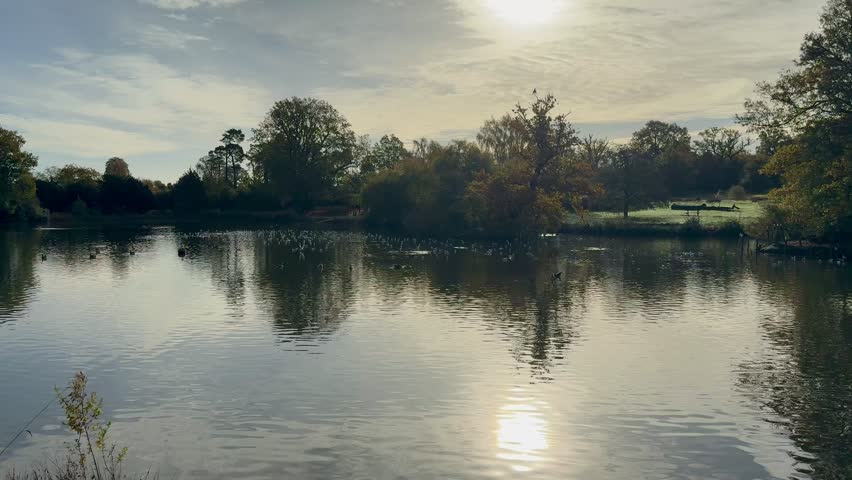 Early Morning Sunrise Over Lake in Public Park With Birds And Geese Flying And Floating. Peaceful Nature Scene Captured in Soft Light With Reflections and Autumn Trees.