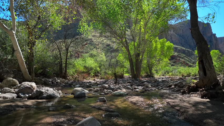 Aerial view of rocky terrain and bright green foliage along the Apache Trail, where the rugged landscape meets the serene sky, Apache Junction, Arizona, United States.