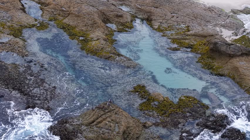 Overhead drone view of vibrant tide pools along a rocky coastline, showcasing shallow clear water, seaweed, and the natural patterns of the intertidal zone during low tide