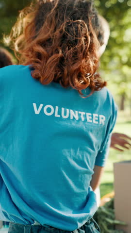Volunteer, woman and charity food drive at park with grocery supplies, community outreach and support. Team, back of person and packing donation parcel outdoor for social responsibility and NGO event