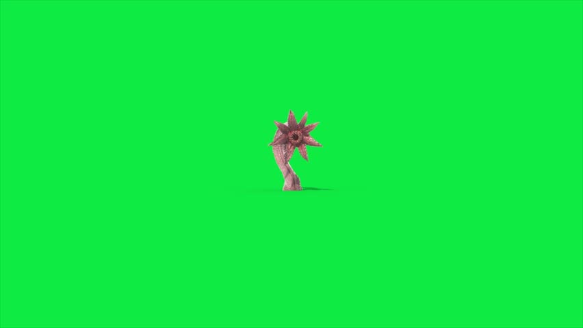 Green Screen Sunflower Tentacle Monster Attack 3D Animation Rendering CGI 4K Horror