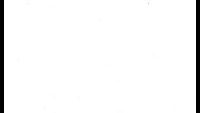 beautiful honey bees 3D animated video 4K animated video . animated in basic color .honey bees celebration season of animation video . animated icons .
