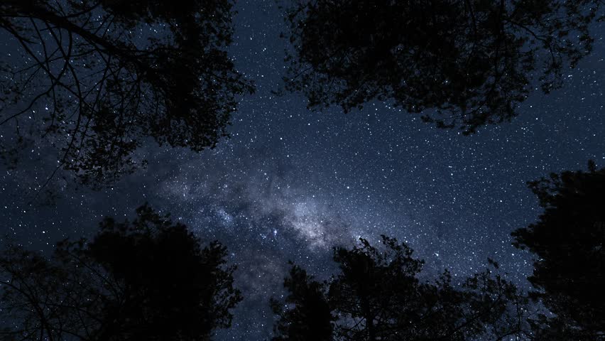 View from earth on Milky Way from forest. Timelapse shot, Earth rotation concept. Camera is zooming in, moving right. Wide angle lens shot