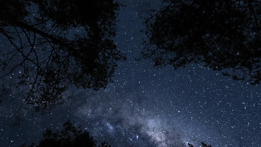 View from earth on Milky Way from forest. Timelapse shot, Earth rotation concept. Camera is zooming out. Wide angle lens shot