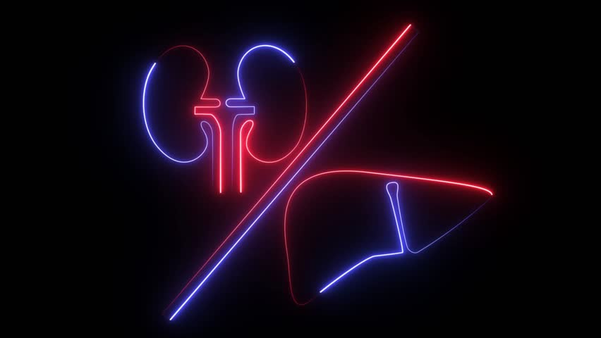 a stylized neon-style graphic of the human kidneys and liver.  - Powered by Shutterstock - Get 15% off with code: PIKWIZARD15
