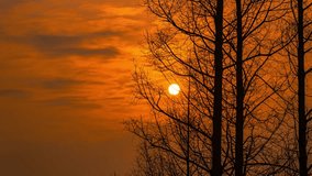 Dramatic sunrise through bare winter tree branches with golden orange sky and visible sun disc creating warm atmospheric morning light - Powered by Shutterstock - Get 15% off with code: PIKWIZARD15