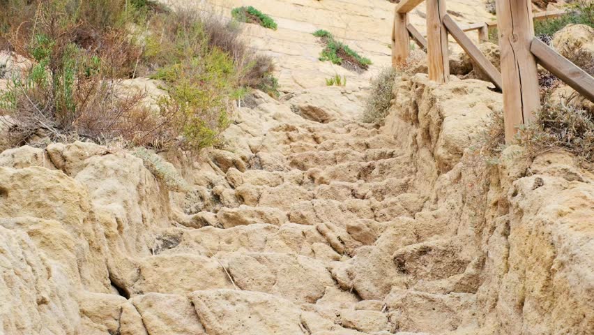 Rugged rocky pathway with wooden railing leading uphill in natural terrain