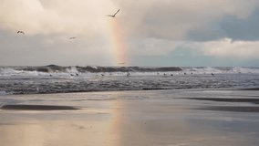 Rainbow over stormy sea in slow motion. A rainbow arcs above crashing waves as seagulls glide across the windy ocean. The wet sand reflects the colors beautifully. - Powered by Shutterstock - Get 15% off with code: PIKWIZARD15