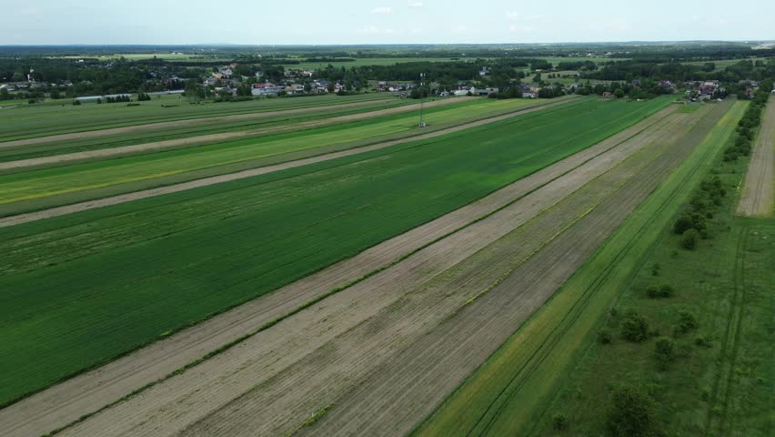 Countryside plantation landscape with growing crops and trees