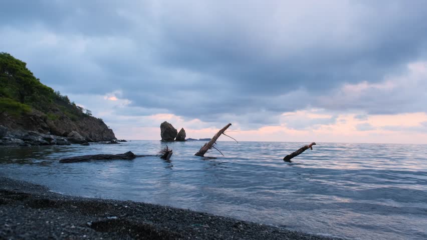 Tree trunk washed ashore moving with the waves on a cloudy day. Driftwood rocking in the waves. Driftwood swaying on the shore under a cloudy sky.